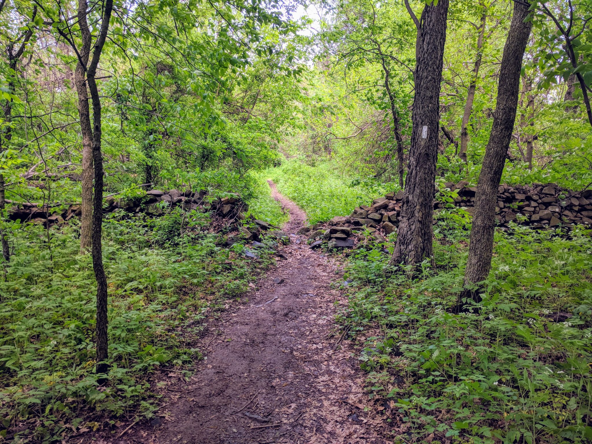 As a Canadian can I hike the Appalachian Trail? | Matthew ...